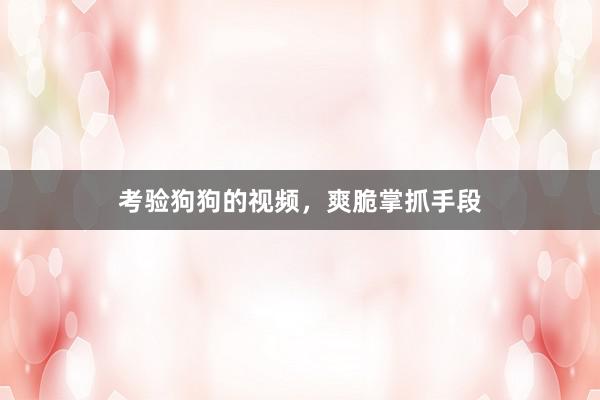 考验狗狗的视频，爽脆掌抓手段